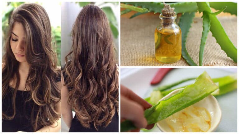 Acelera el crecimiento de tu cabello con este tratamiento de aloe vera y aceite de argán