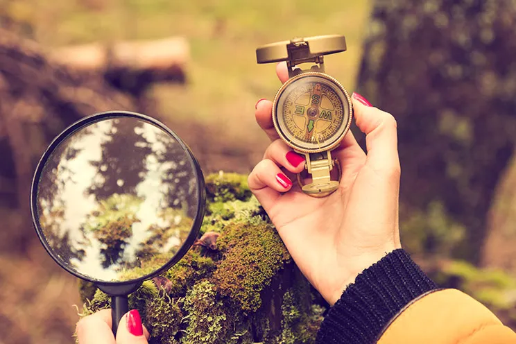 El musgo siempre crece en el norte de los árboles