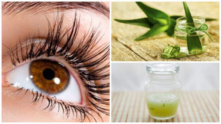 Fortalece y alarga las pestañas con este tratamiento de aloe vera y vitamina E