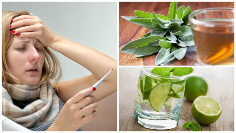 Las 9 mejores soluciones naturales para bajar la fiebre