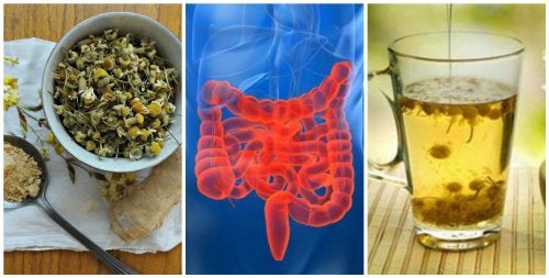 Té helado de manzanilla y jengibre para tratar el colon irritable