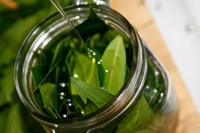 Aceite de laurel.