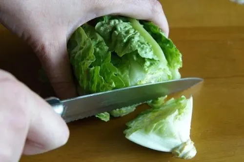 Lechuga para controlar el olor en las axilas