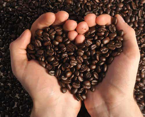 Los posos de café, un sorprendente aliado contra enfermedades.