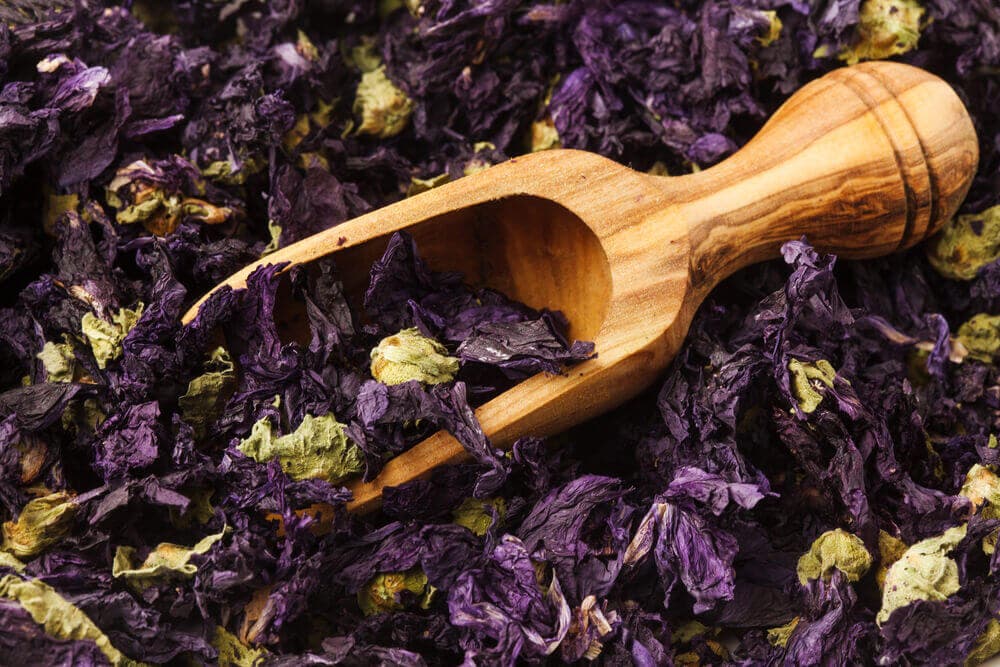 Mallow, en avføringsmiddel plante