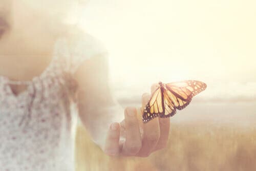 Mariposa con una mano al aire libre