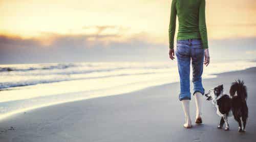 Aprende a meditar mientras caminas y adelgaza tus emociones negativas
