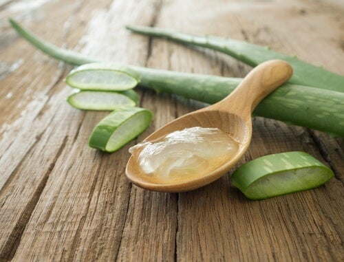 Aloe vera kan bruges til at forebygge hårtab
