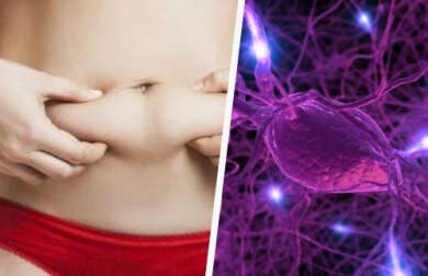 5 claves para regular las hormonas que nos hacen subir de peso