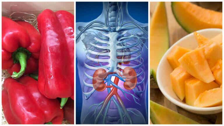 10 alimentos para mejorar el funcionamiento de los riñones naturalmente