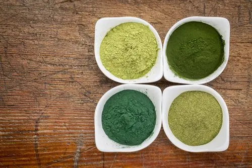 Beneficios de la Espirulina