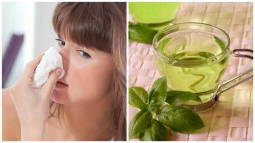 Combate la congestión nasal con estos 5 remedios naturales
