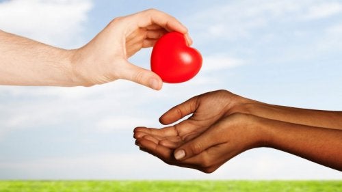 España, líder mundial en donación de órganos