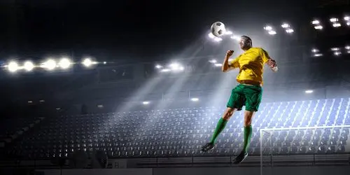 Investigación y estudios sobre daños cerebrales