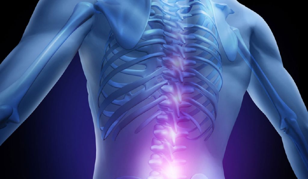 médula espinal y mielitis transversa