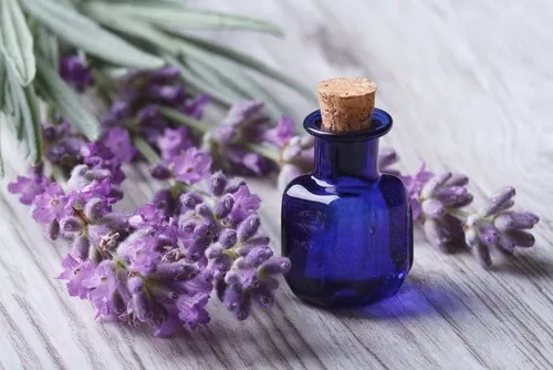 Tarro con aceite esencial de lavanda