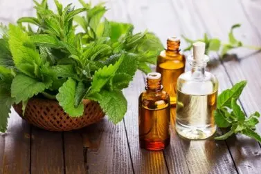 Cómo hacer aceite de menta para cuidar de tu salud