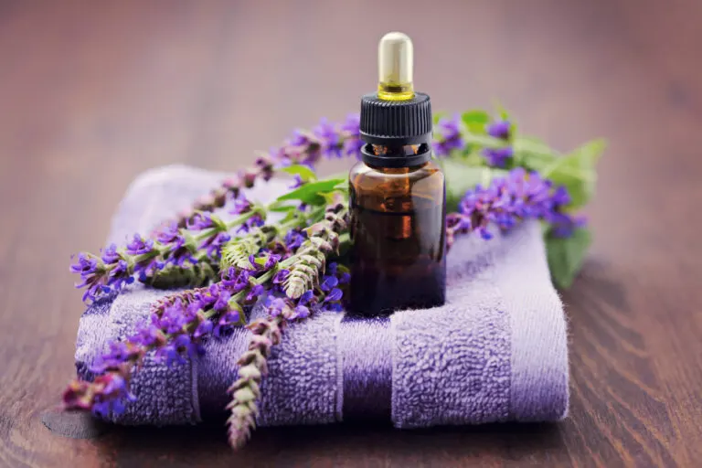 5 usos maravillosos del aceite de salvia que debes conocer
