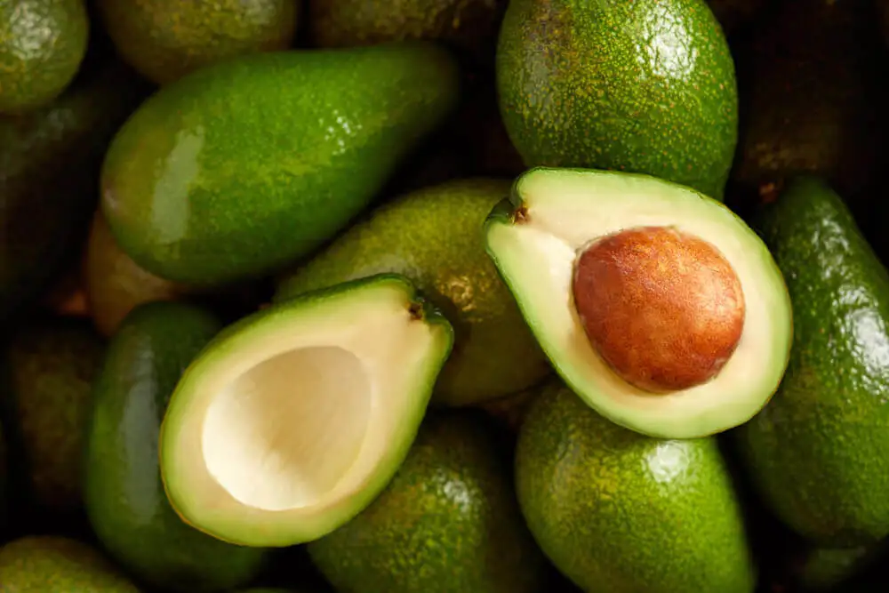 Aguacates frescos.