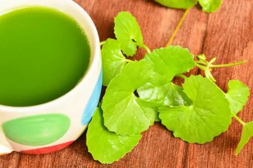Centella asiática