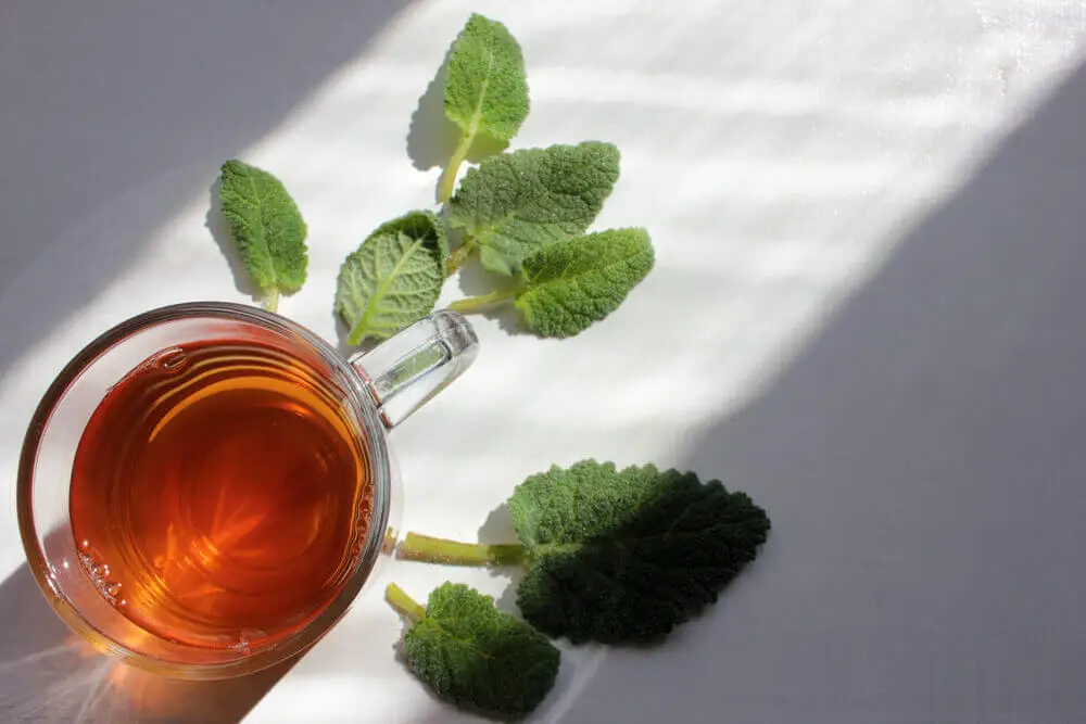Infusión de salvia