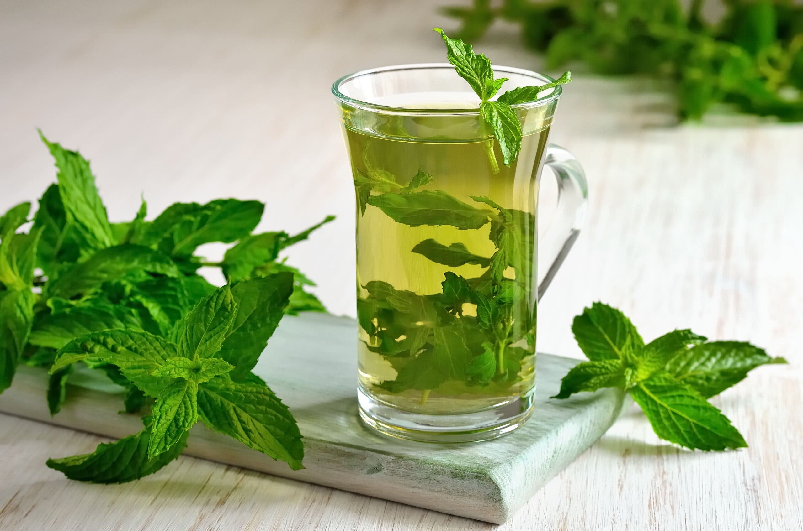Menta para el dolor de estómago