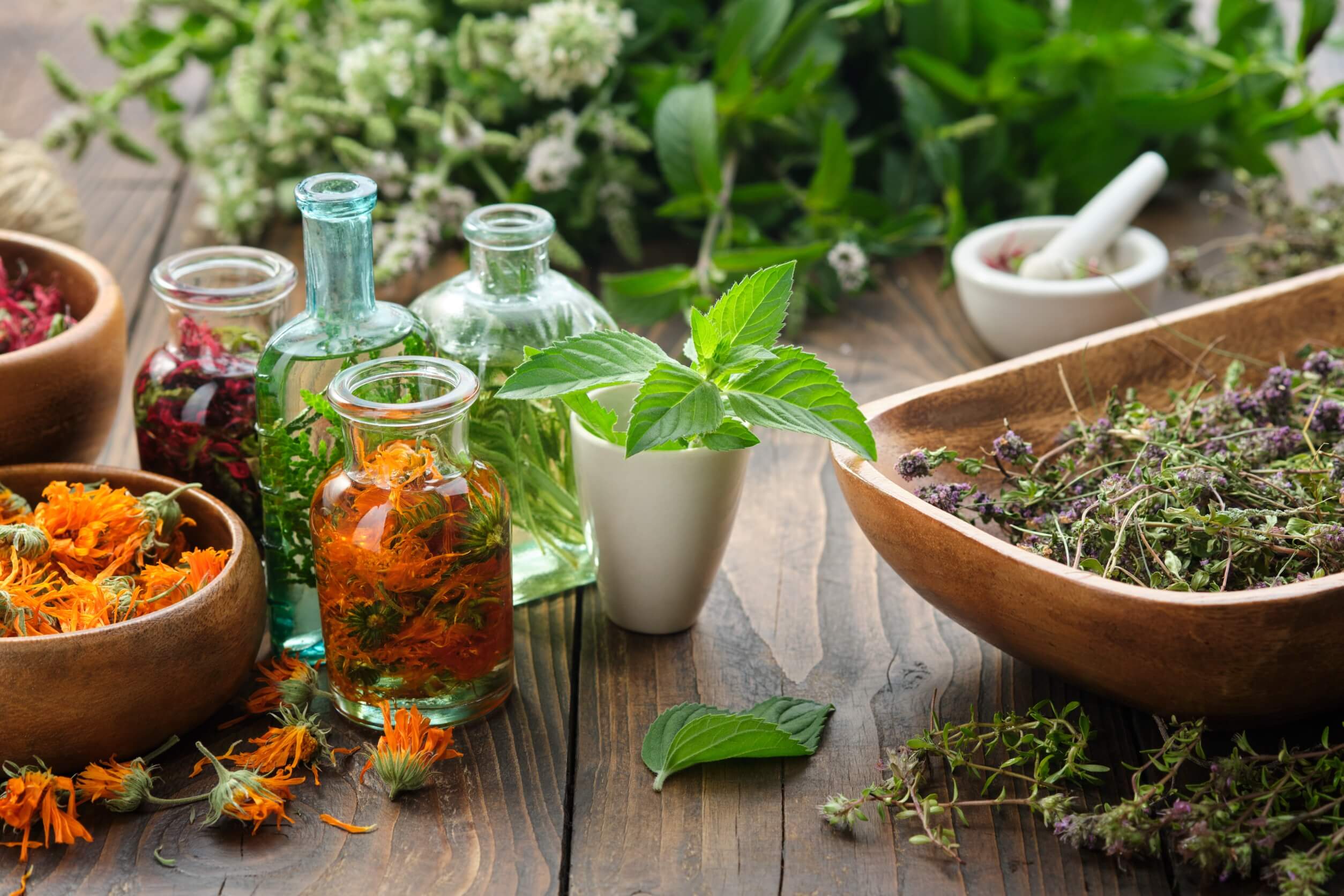 21 plantas medicinales para el dolor de estómago - Mejor con Salud