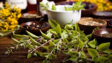 21 plantas medicinales para el dolor de estómago