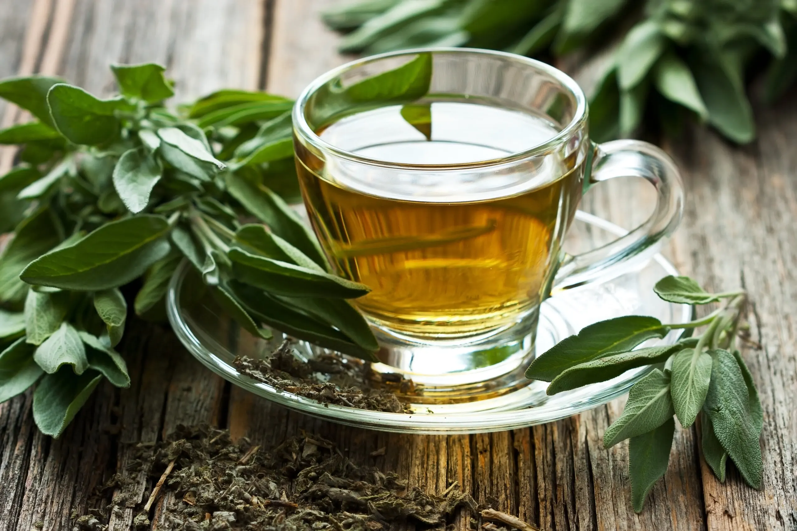 Té de salvia para el dolor de estómago