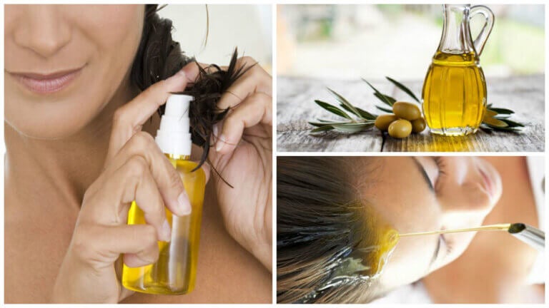 conservador brindis dinero 6 maneras de utilizar aceite de oliva para embellecer tu cabello - Mejor  con Salud