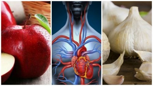 7 alimentos que puedes consumir para mejorar tu circulación