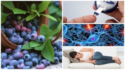 8 sorprendentes beneficios que obtienes cuando comes arándanos azules