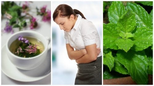 Alivia el síndrome del intestino irritable con estas 5 hierbas curativas
