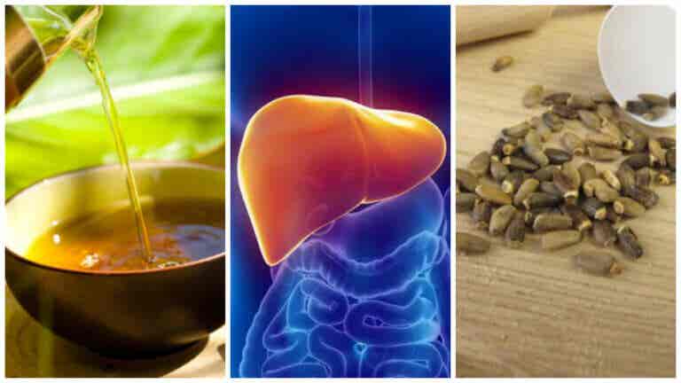 Combate el hígado graso con estos 6 tratamientos alternativos
