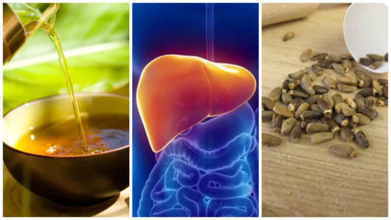 Combate el hígado graso con estos 6 tratamientos alternativos