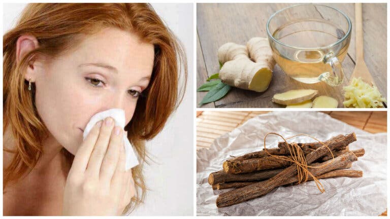7 remedios naturales para combatir la rinitis