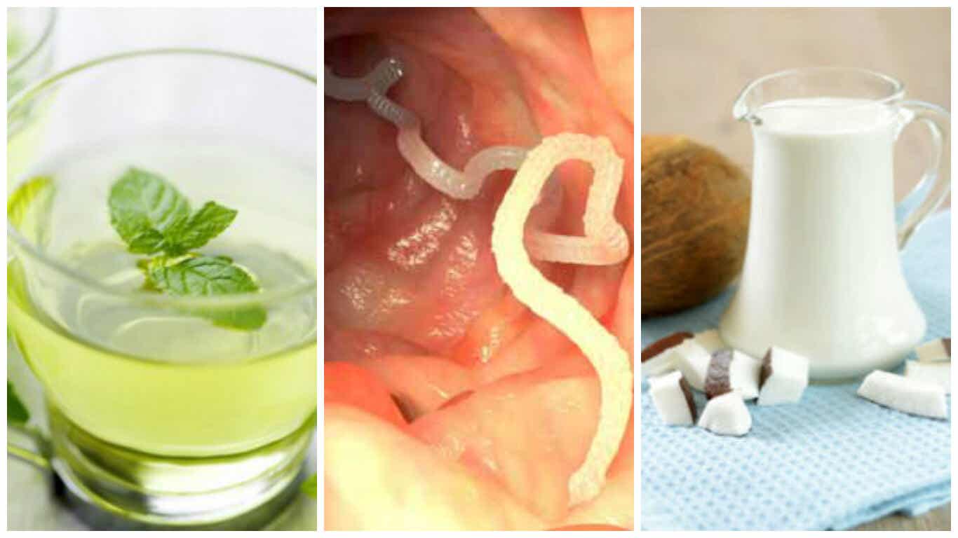 Combate los parásitos intestinales con estos 5 tratamientos caseros
