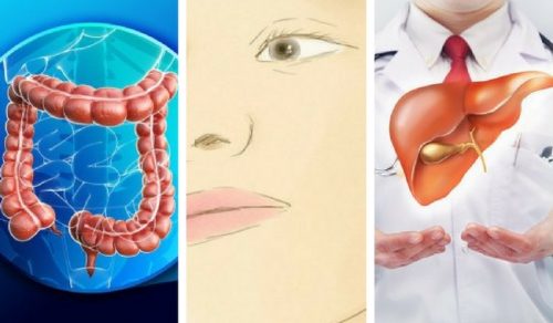Conoce el papel fundamental de tu sistema excretor en el organismo