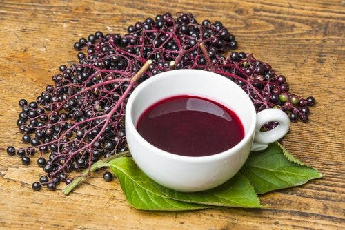 Infusión de saúco