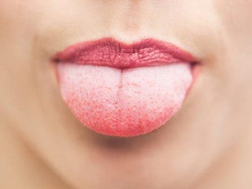 Lengua