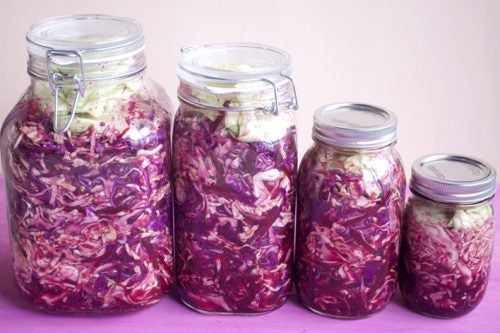 Different jars of sauerkraut