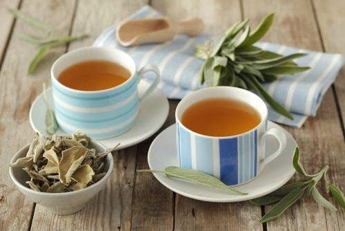 salvia para bajar la fiebre