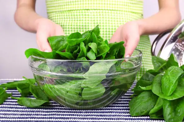 Verduras-de-hoja-verde