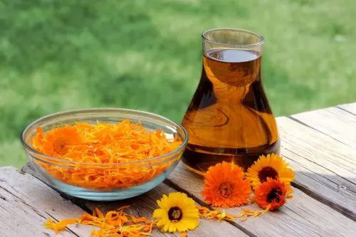 Marigold oil