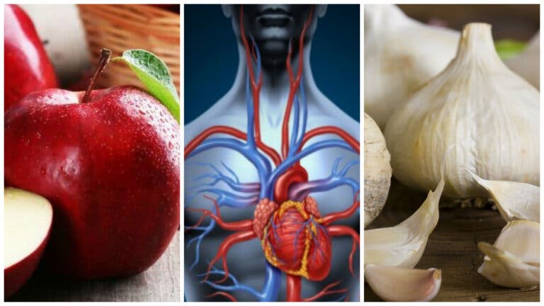 7 alimentos que puedes consumir para mejorar tu circulación