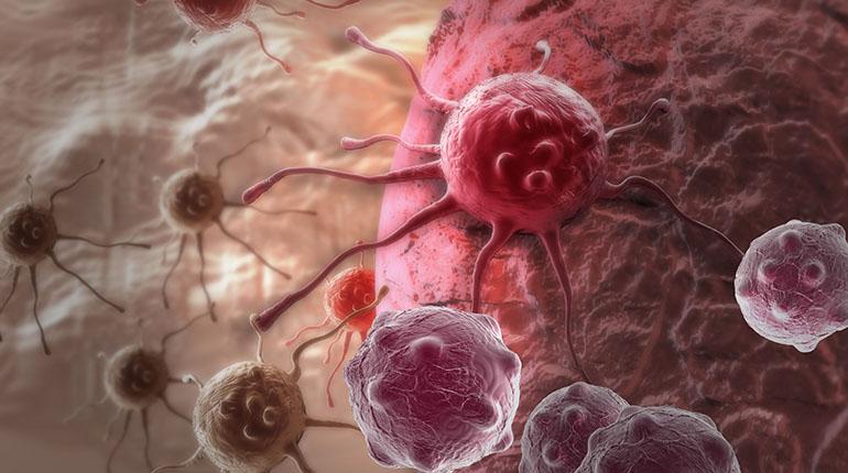 El origen del cáncer: de la célula normal a la célula maligna