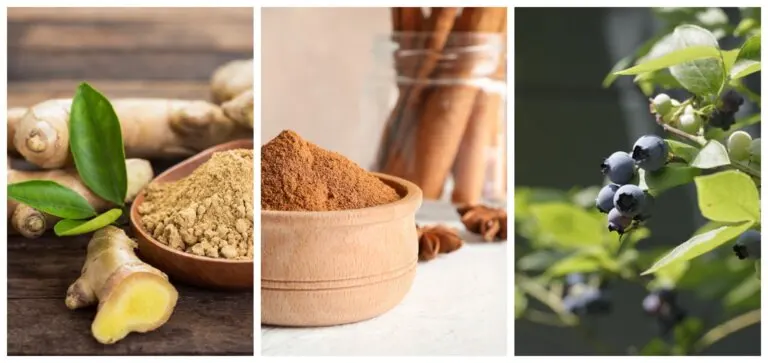 7 hierbas que te ayudan a tratar la diabetes de tipo 2