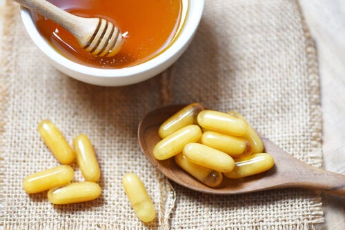 Jalea real, propiedades y aportes a la salud