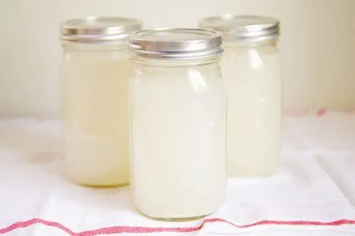 kefir-de-agua-de-coco