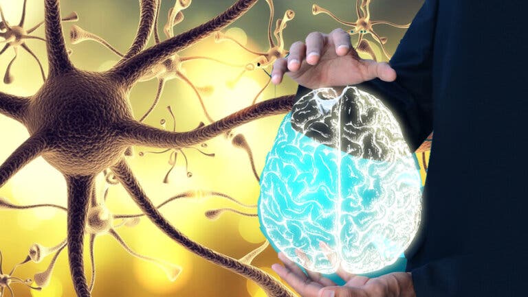 Cómo "despertar" el nervio vago para disfrutar de un bienestar integral